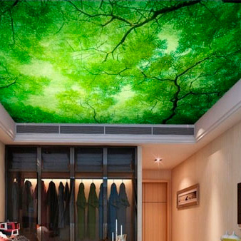 натяжные потолки Природа в Бишкеке